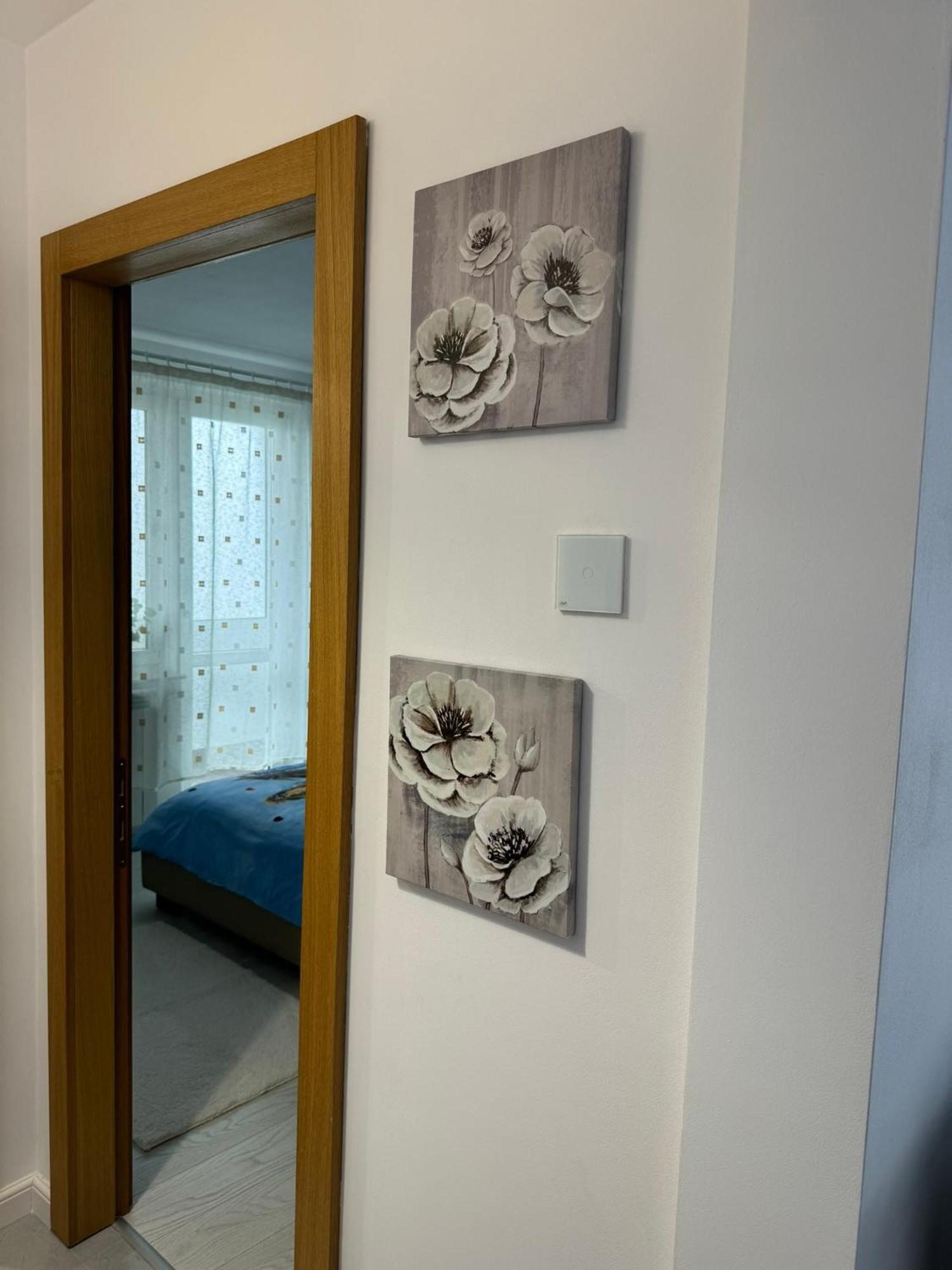 Apartament Central Râmnicu Vâlcea 외부 사진